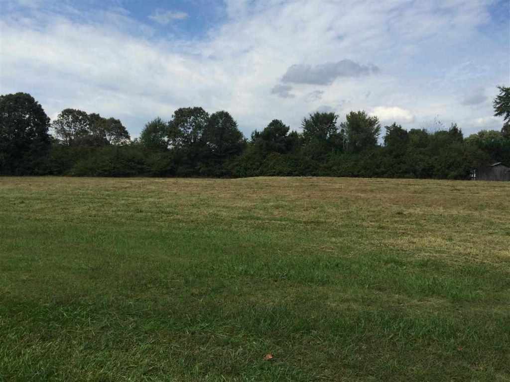 1505 Melton Road Liberty, SC 29657 - Photo 18 of 23