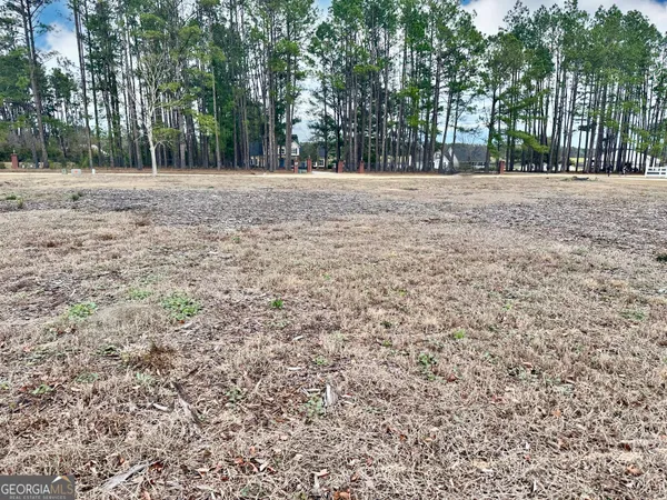a view of outdoor space with trees