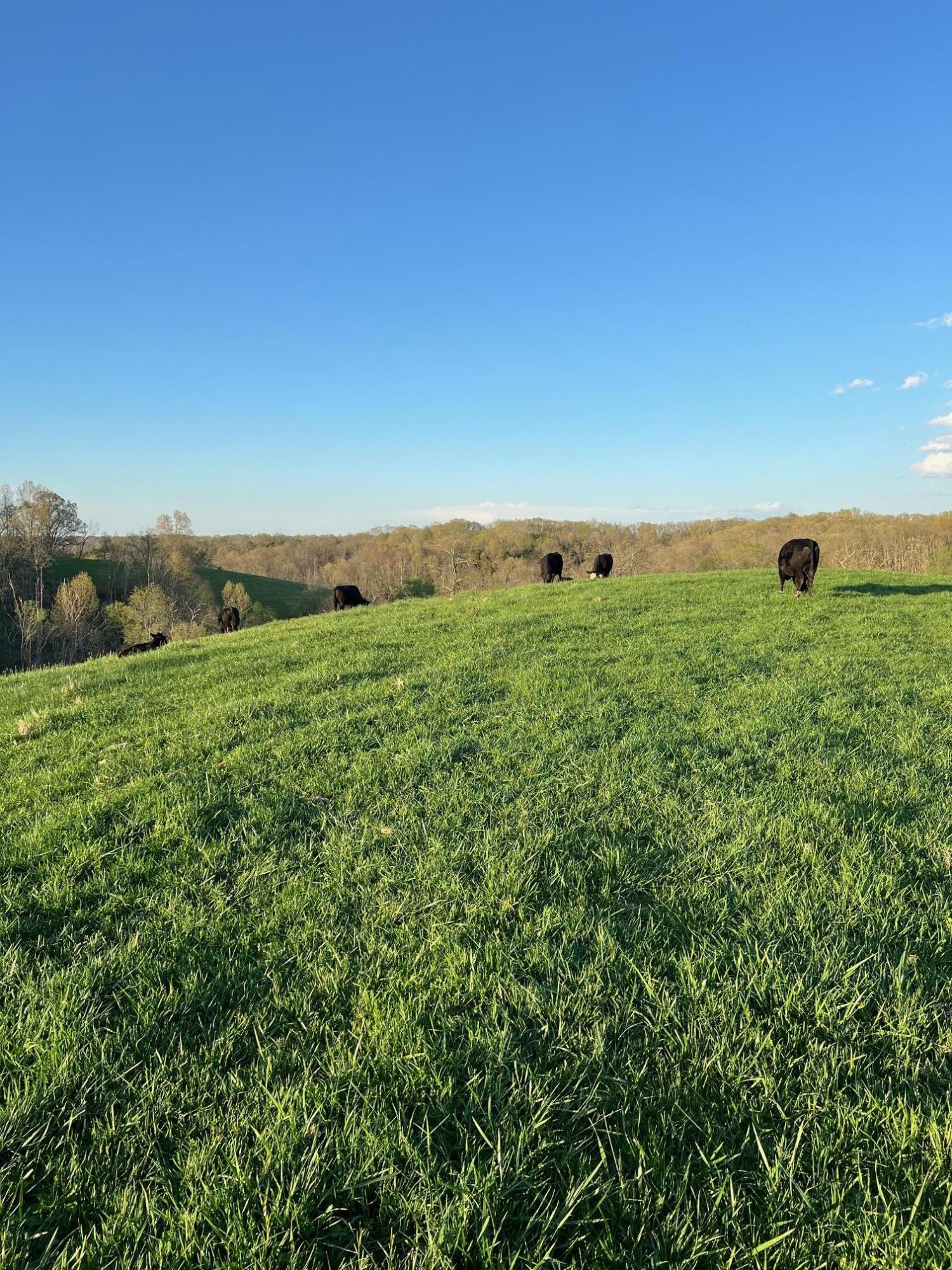 1822 Locust Fork Road Stamping Ground, KY 40379 - Photo 42 of 56 IMG_5980 (1)