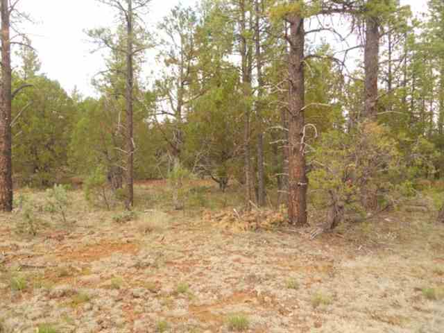 212 - 016a Lakeside, AZ 85929 - Photo 2 of 4 a view of a backyard of a house