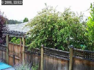 1039 Overlook Road Berkeley, CA 94708 - Photo 1 of 1