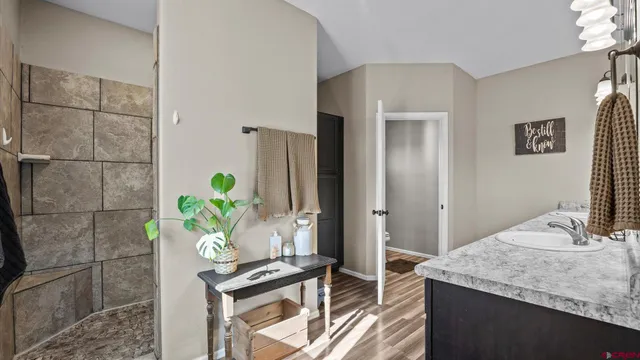 a bath room with a granite countertop sink and a potted plant