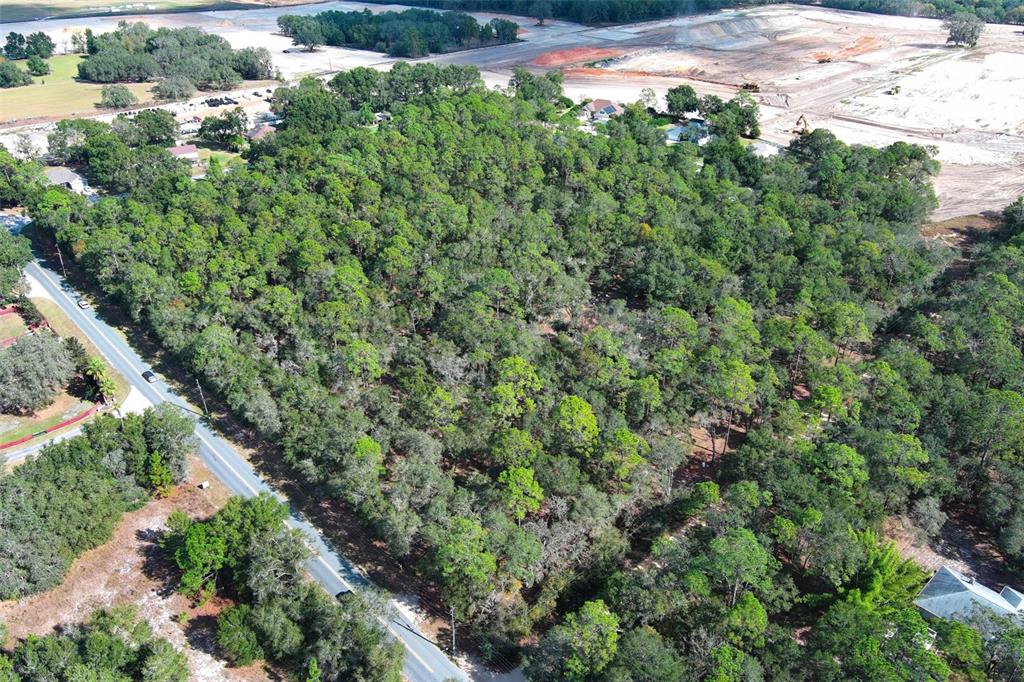 Rolling Ares Road West Lady Lake, FL 32159 - Photo 1 of 48 Gallery Image 1