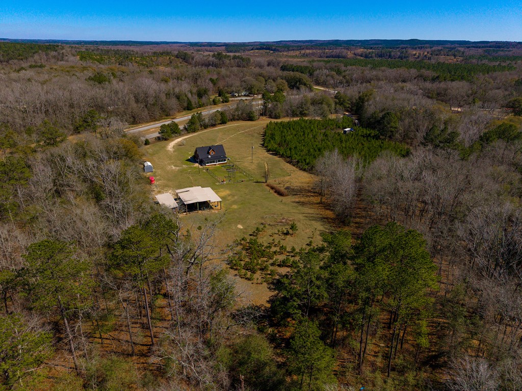 26 Dan Brinson Road Lumpkin, GA 31815 - Photo 7 of 50 Gallery Image 7