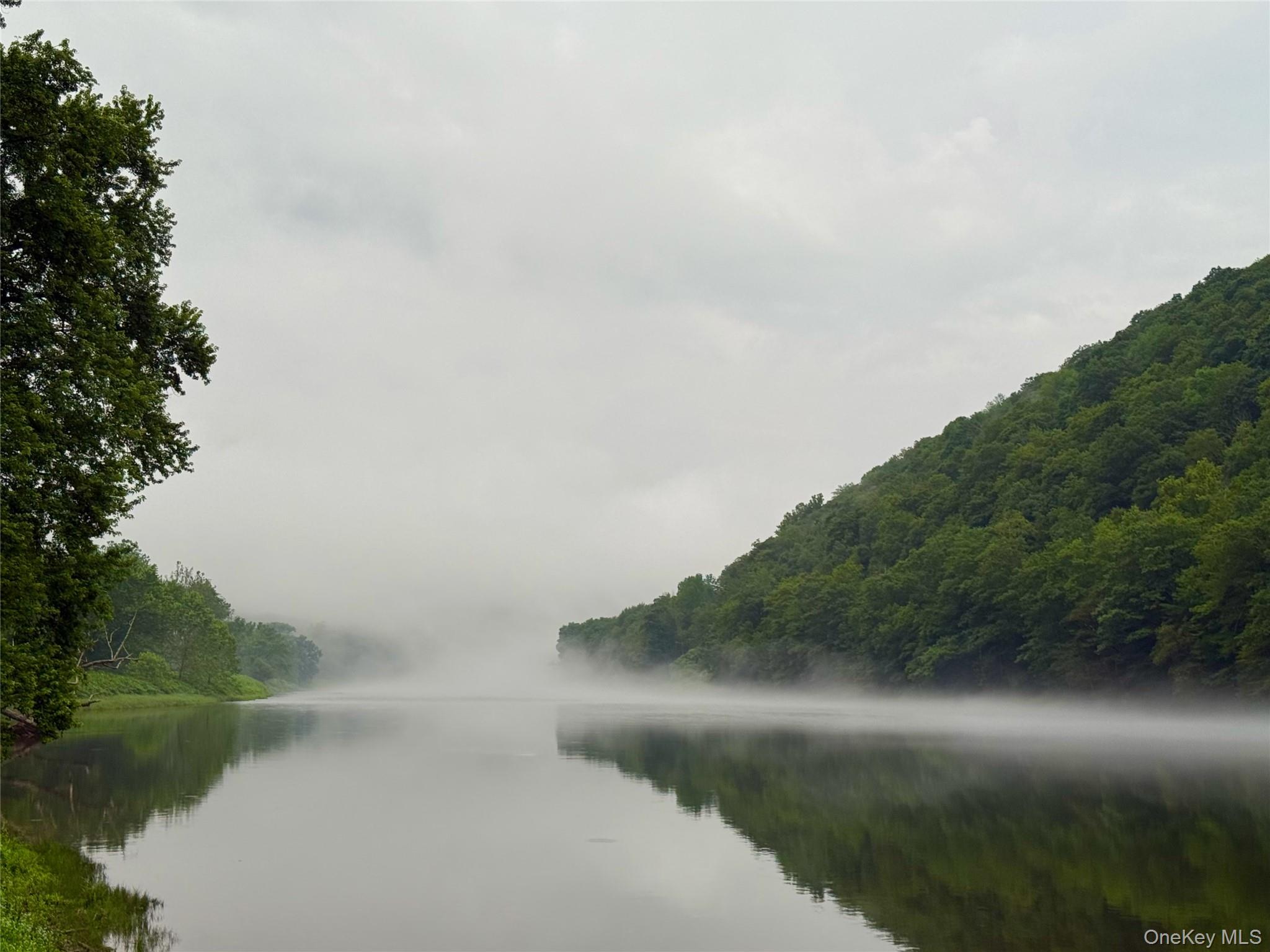 222 Stockport Road Hancock, NY 13783 - Photo 12 of 45 Wild and scenic upper Delaware river. 900 feet of riverfront. World class fly fishing