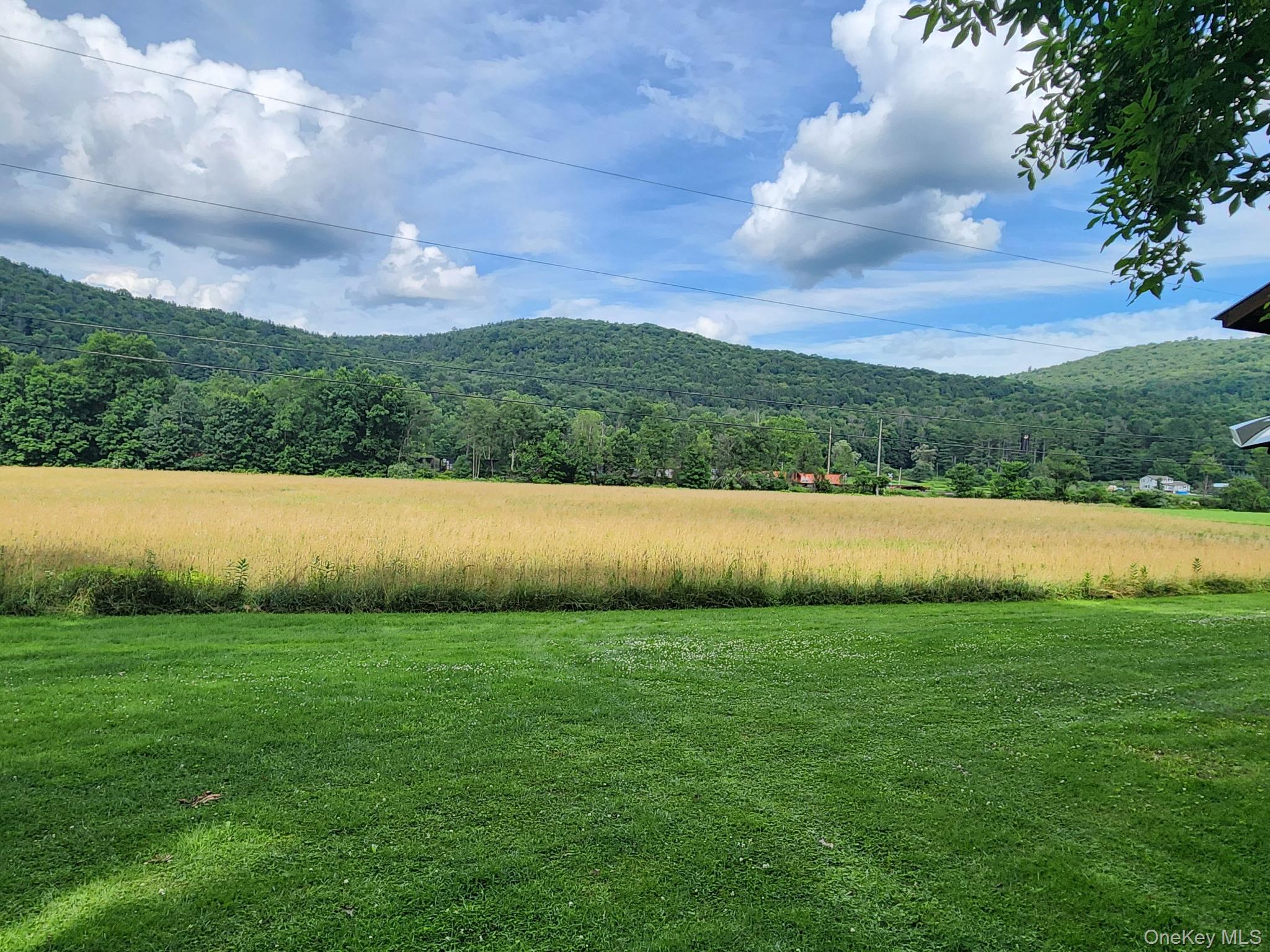 222 Stockport Road Hancock, NY 13783 - Photo 14 of 45 25 acres includes fields hayed annually
