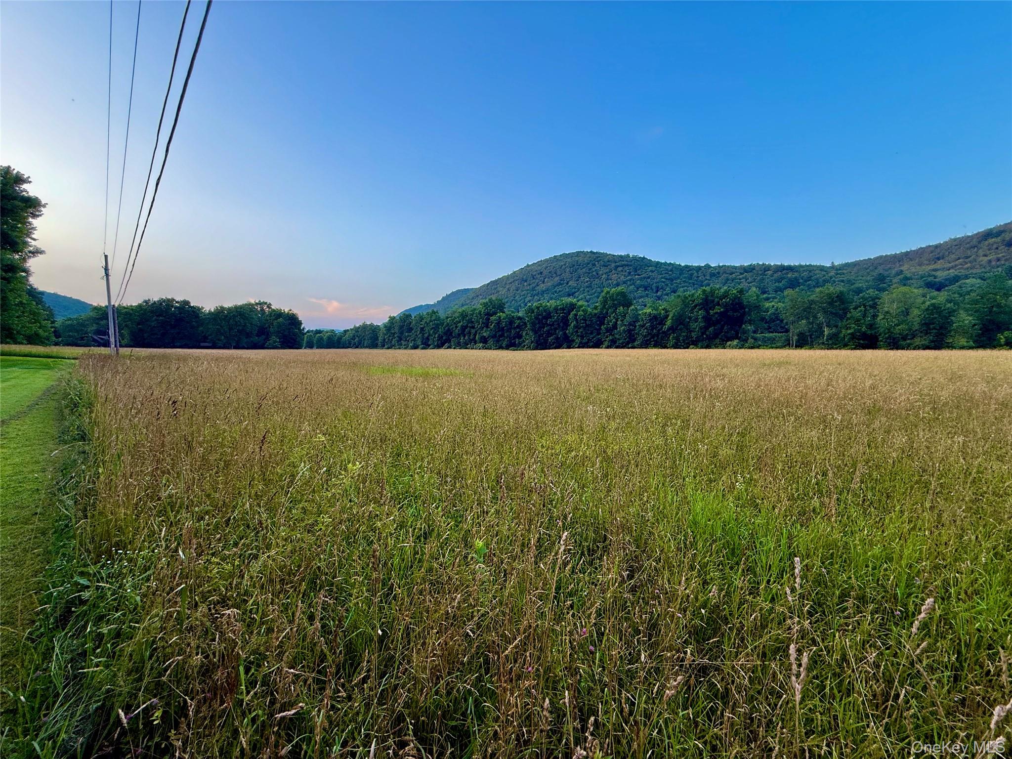 222 Stockport Road Hancock, NY 13783 - Photo 29 of 45 Hay fields and mountains, electric service from road
