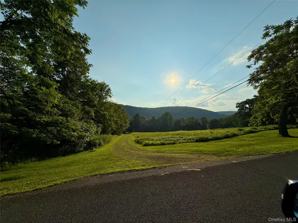 a view of a grassy field with trees