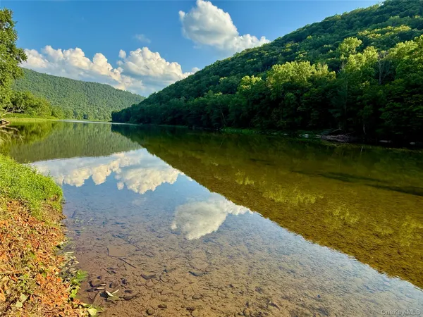 a view of a lake in middle of the forest