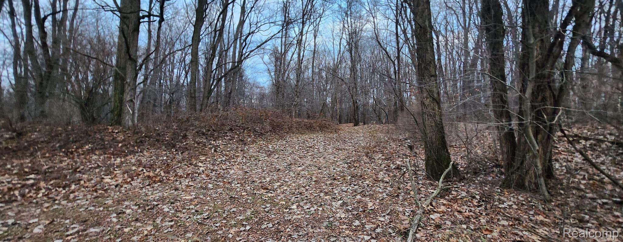 9194 Arbela Road Millington, MI 48746 - Photo 25 of 40 Gallery Image 25