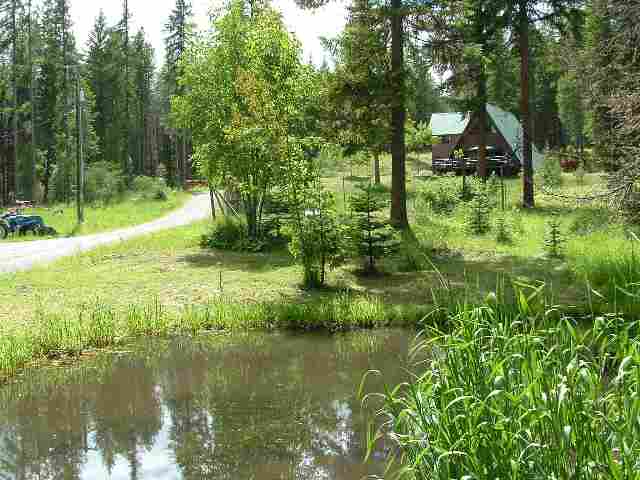 858 Lindsay Road Colville, WA 99114 - Photo 7 of 9