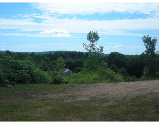 a view of a lake with a yard