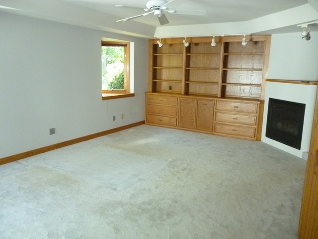4-n176 Town Hall Road St. Charles, IL 60175 - Photo 8 of 25