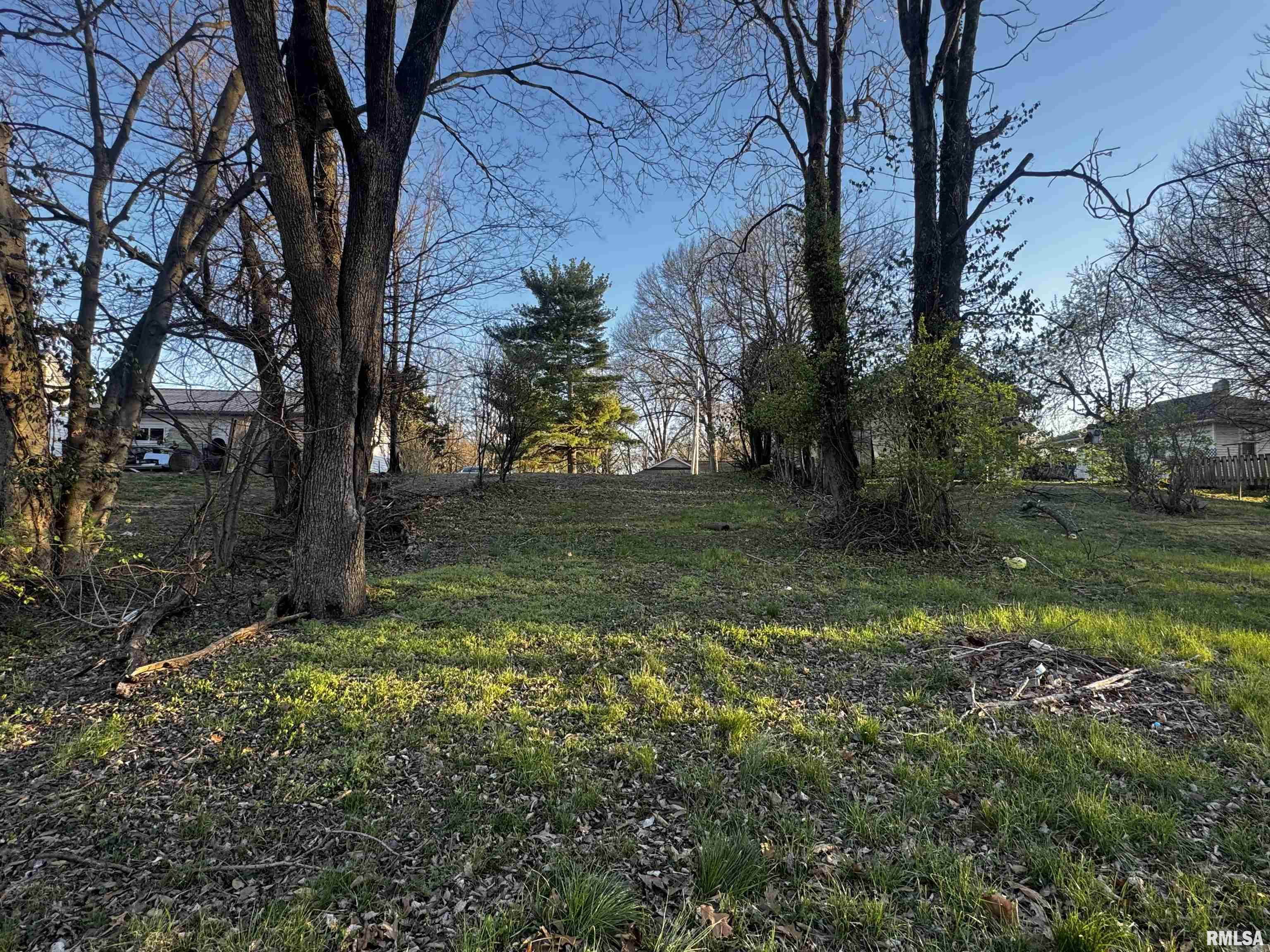 2418 College Street Mount Vernon, IL 62864 - Photo 3 of 4