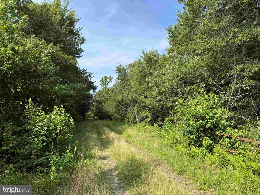 Sarecta Road Kenansville, NC 28349 - Photo 13 of 28