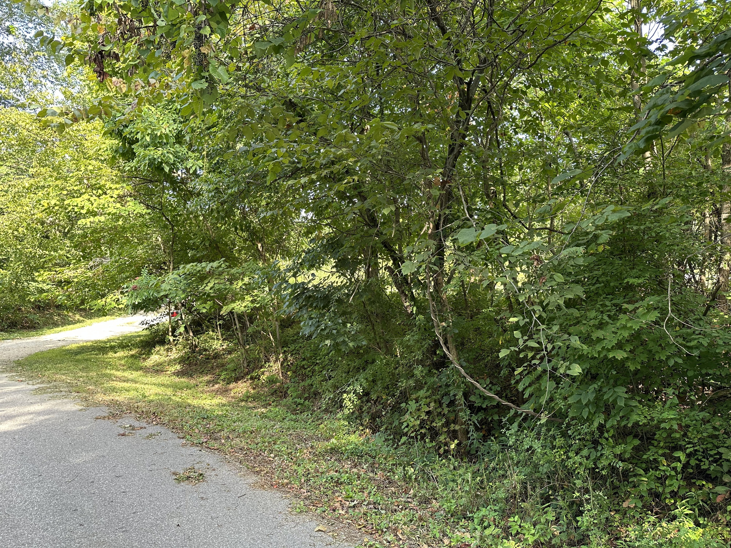 7980 North Oak Ridge Road Morgantown, IN 46160 - Photo 12 of 17