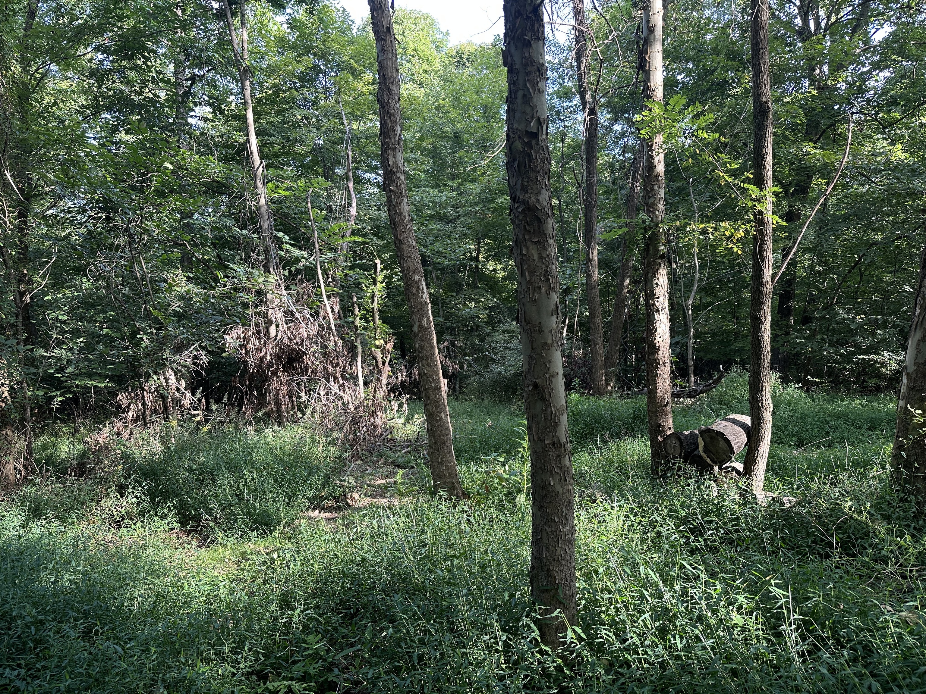 7980 North Oak Ridge Road Morgantown, IN 46160 - Photo 16 of 17