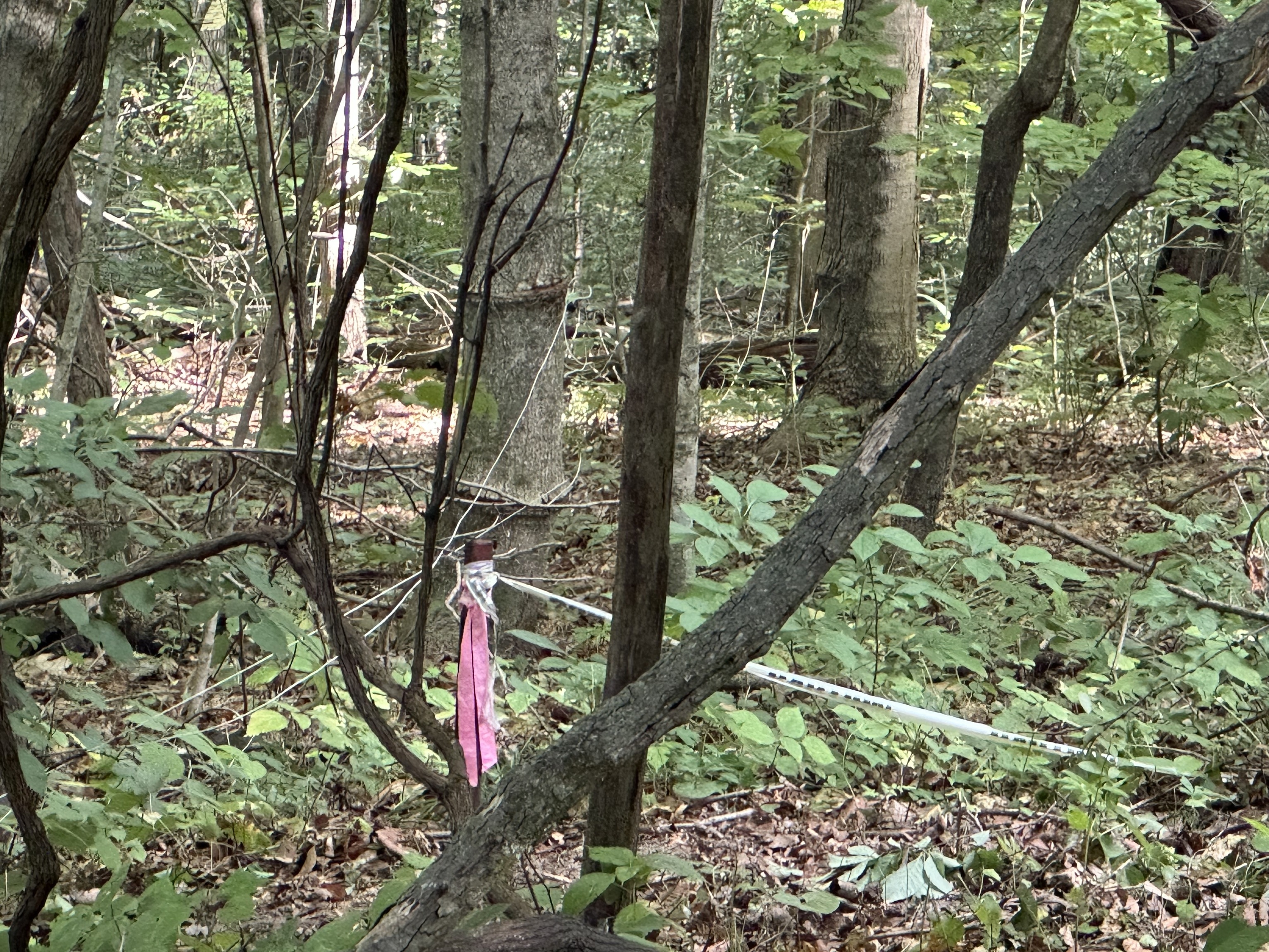 7980 North Oak Ridge Road Morgantown, IN 46160 - Photo 3 of 17