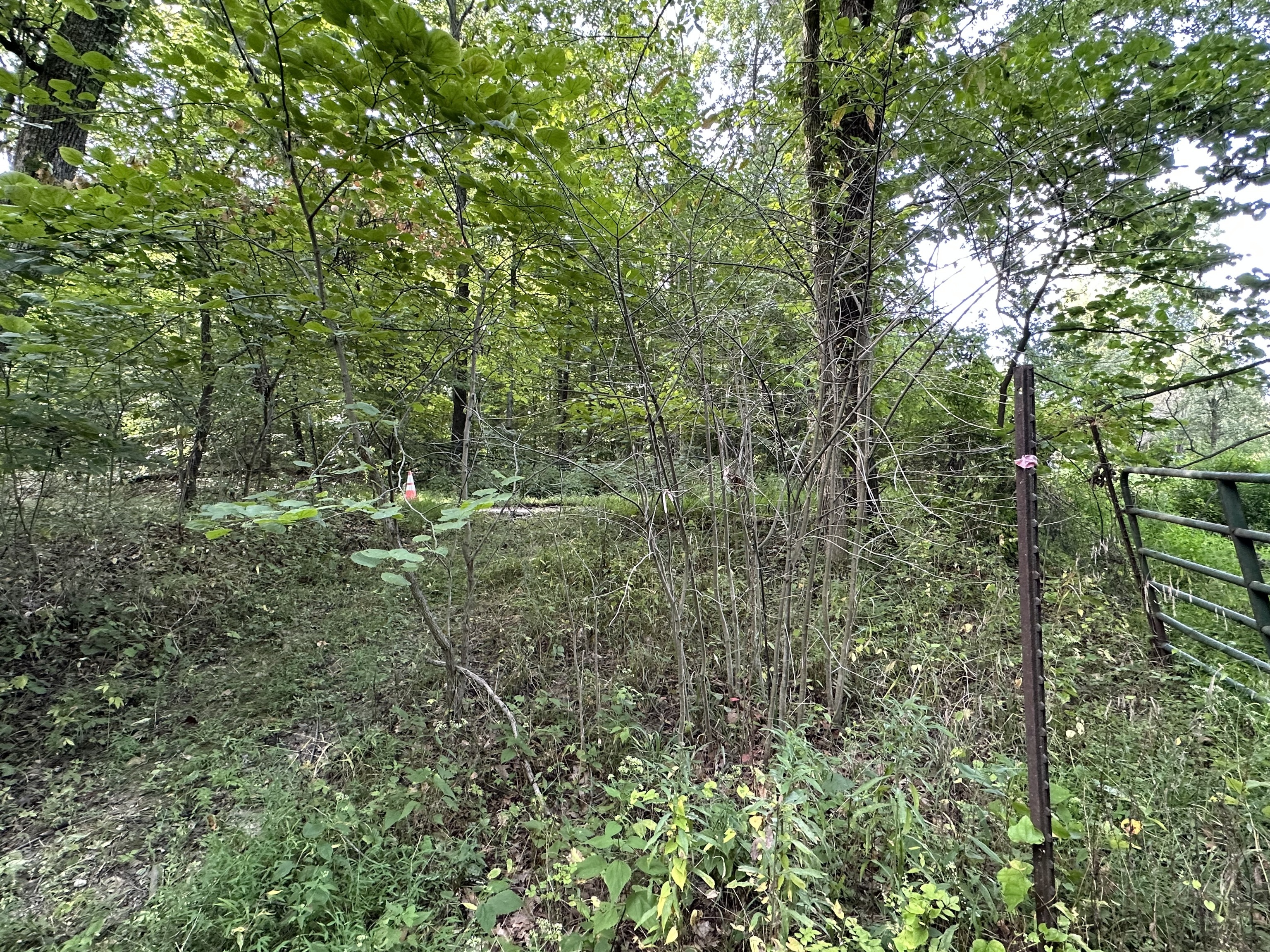 7980 North Oak Ridge Road Morgantown, IN 46160 - Photo 4 of 17