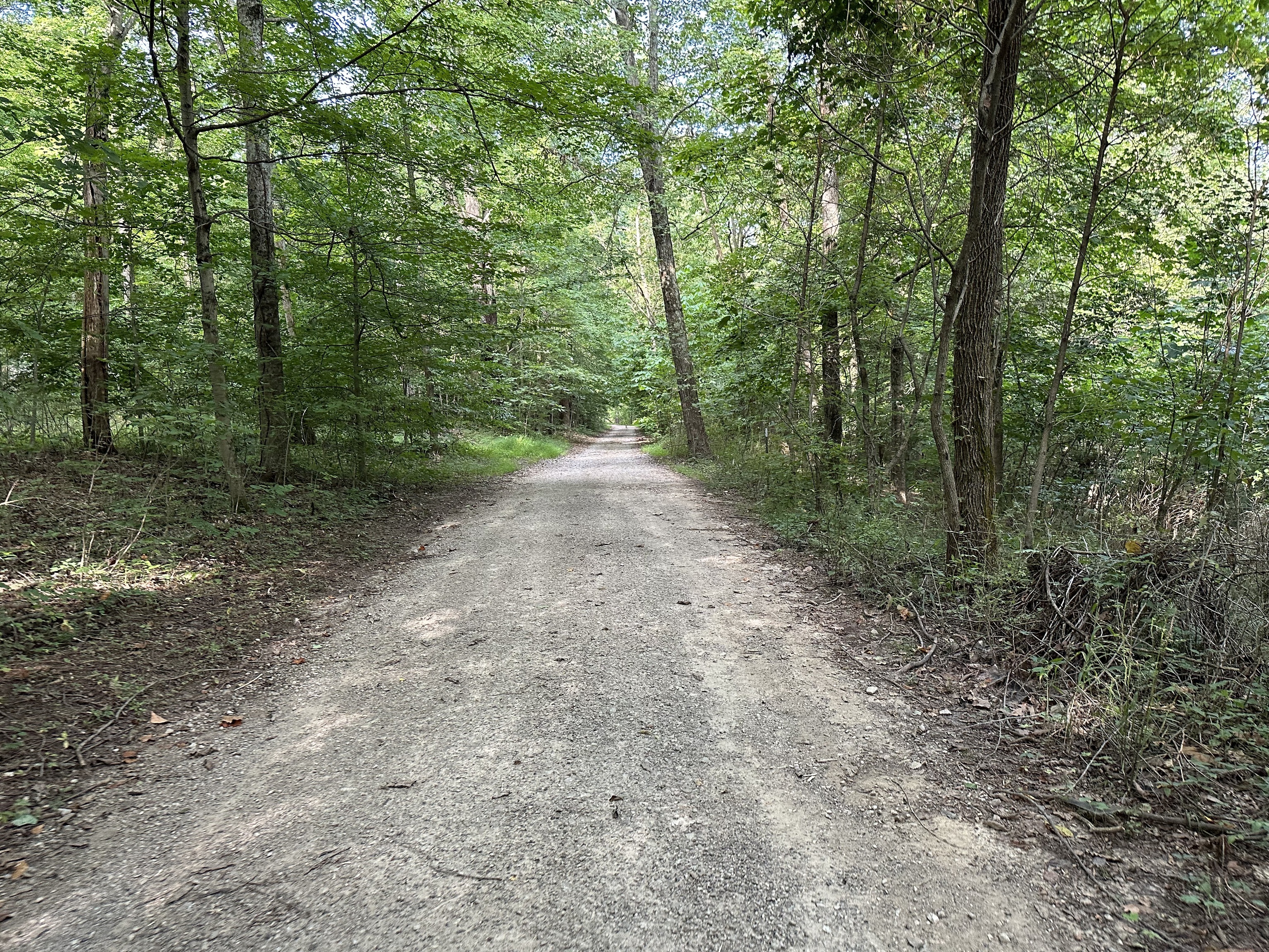 7980 North Oak Ridge Road Morgantown, IN 46160 - Photo 8 of 17