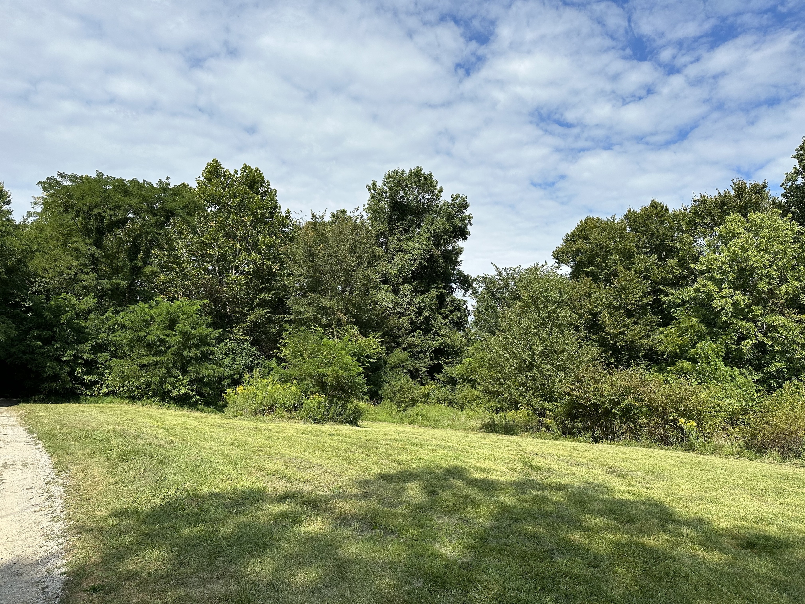 7980 North Oak Ridge Road Morgantown, IN 46160 - Photo 9 of 17