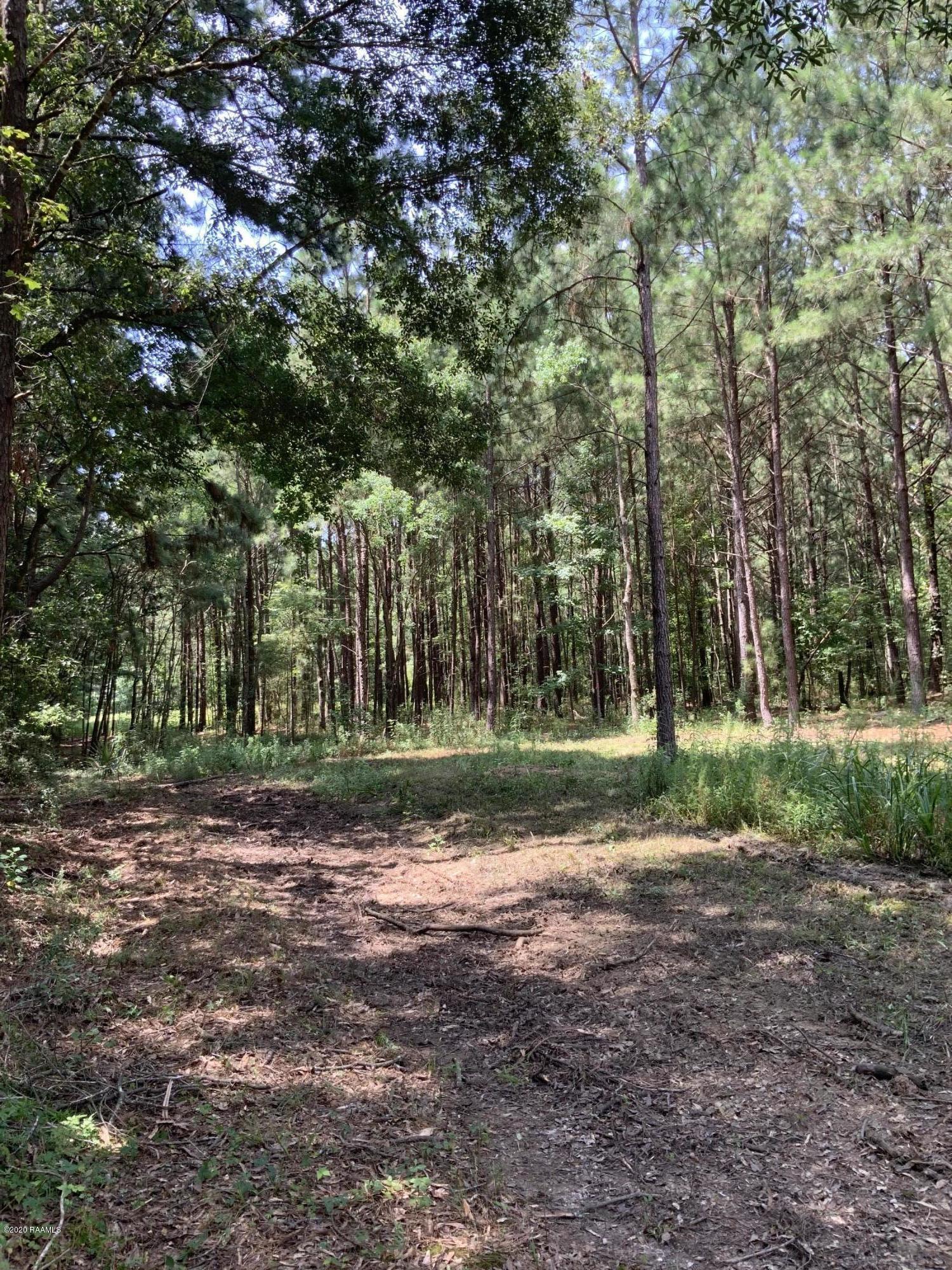 Tbd Tbd Redich (14.36) Road Eunice, LA 70535 - Photo 3 of 6