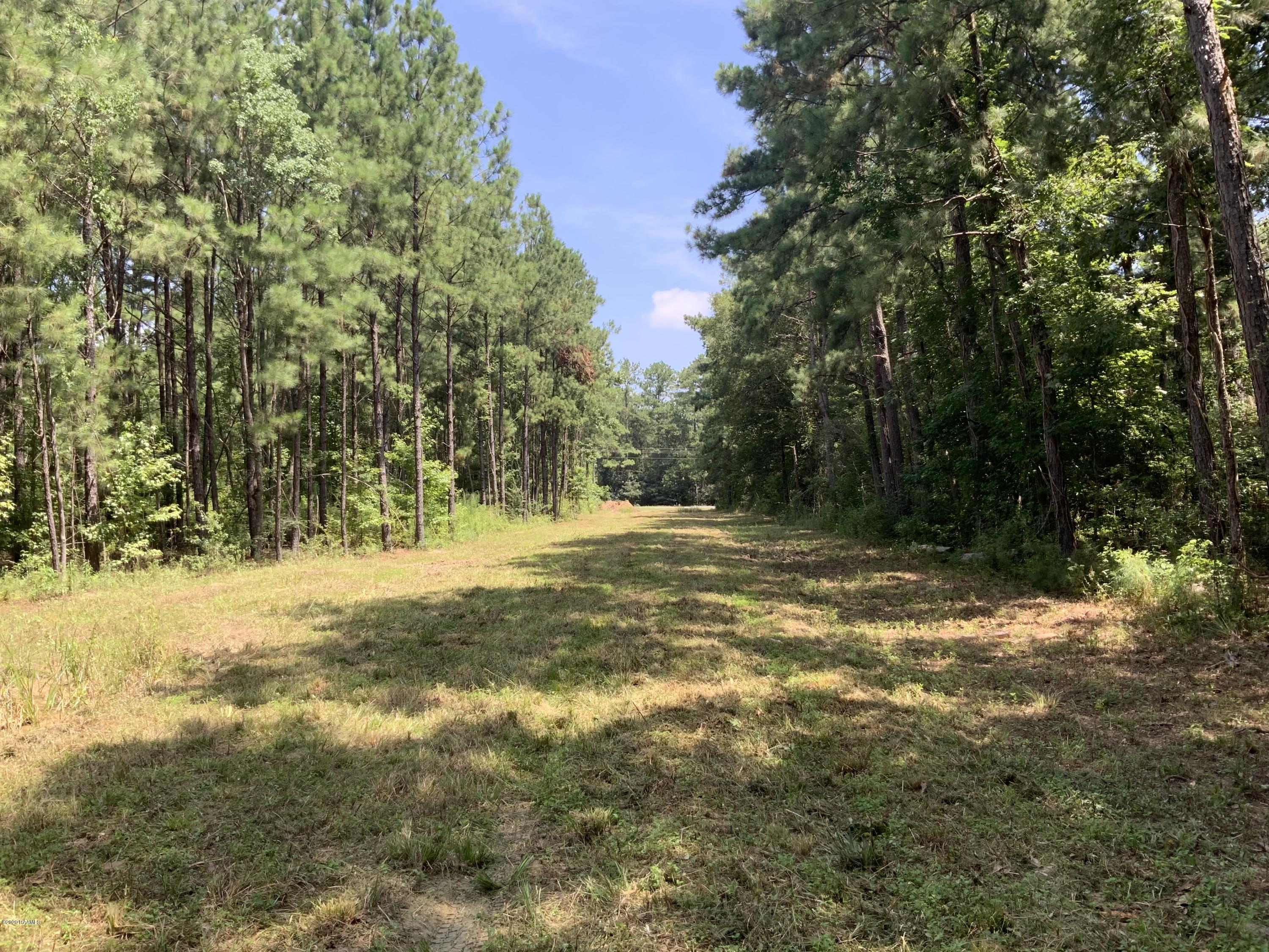 Tbd Tbd Redich (14.36) Road Eunice, LA 70535 - Photo 4 of 6