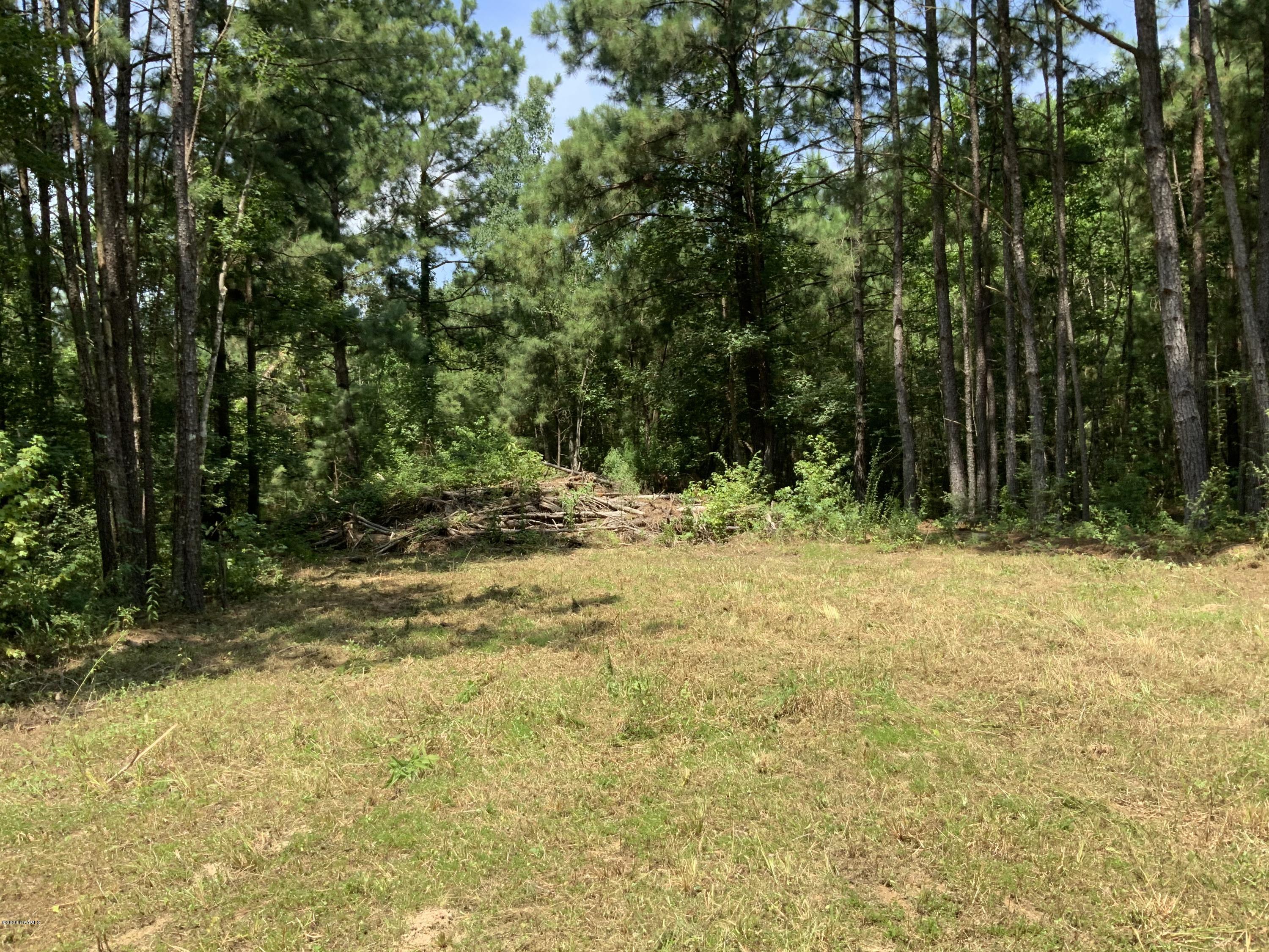 Tbd Tbd Redich (14.36) Road Eunice, LA 70535 - Photo 6 of 6