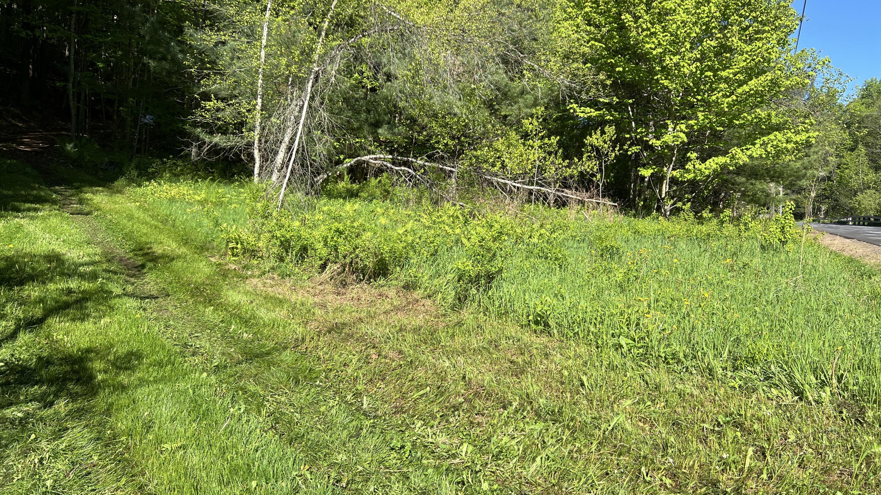 273 True Brook Road Saranac, NY 12981 - Photo 4 of 17 IMG_7893