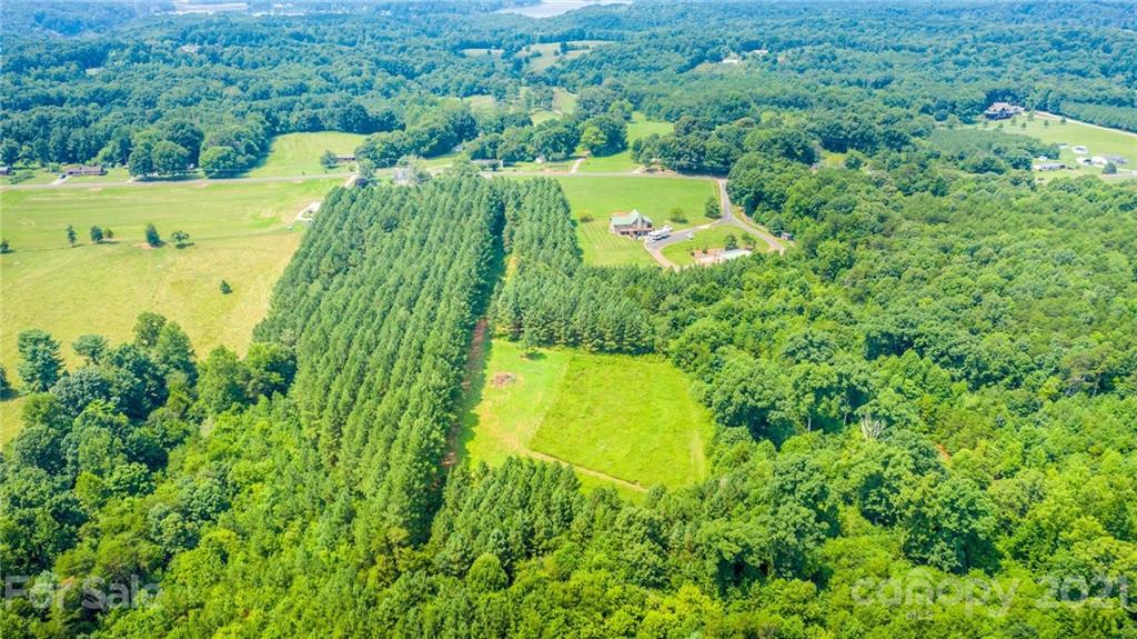 1098 Sharon School Road, Unit 2 Stony Point, NC 28678 - Photo 6 of 14 Gallery Image 6