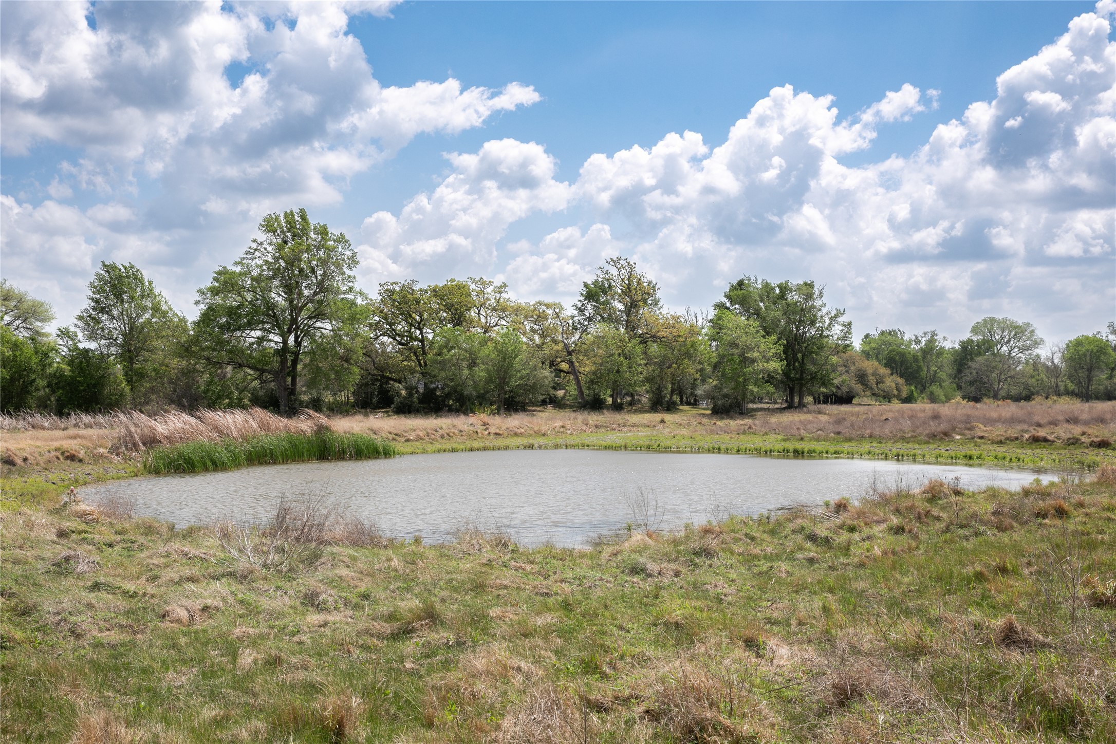 4254 FM 180 Road Ledbetter, TX 78946 - Photo 4 of 18 a view of a lake view with houses in the background