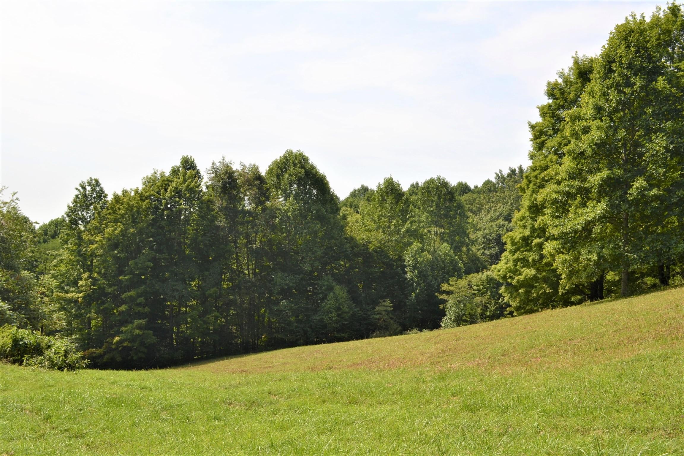 590 Arbaugh Road Williamsburg, WV 24991 - Photo 12 of 43 Gallery Image 12