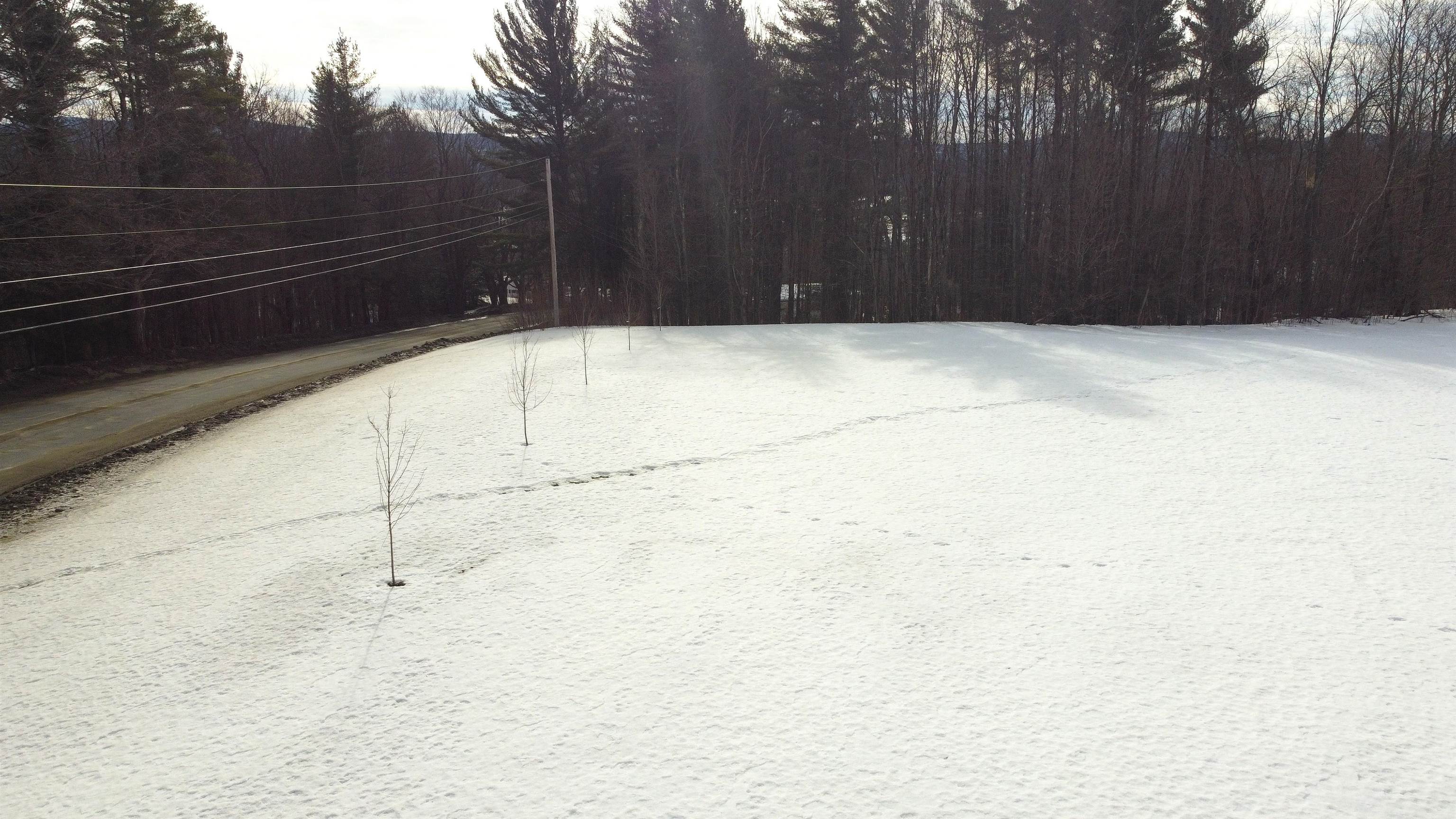 315 North Hill Road Westfield, VT 05874 - Photo 2 of 16