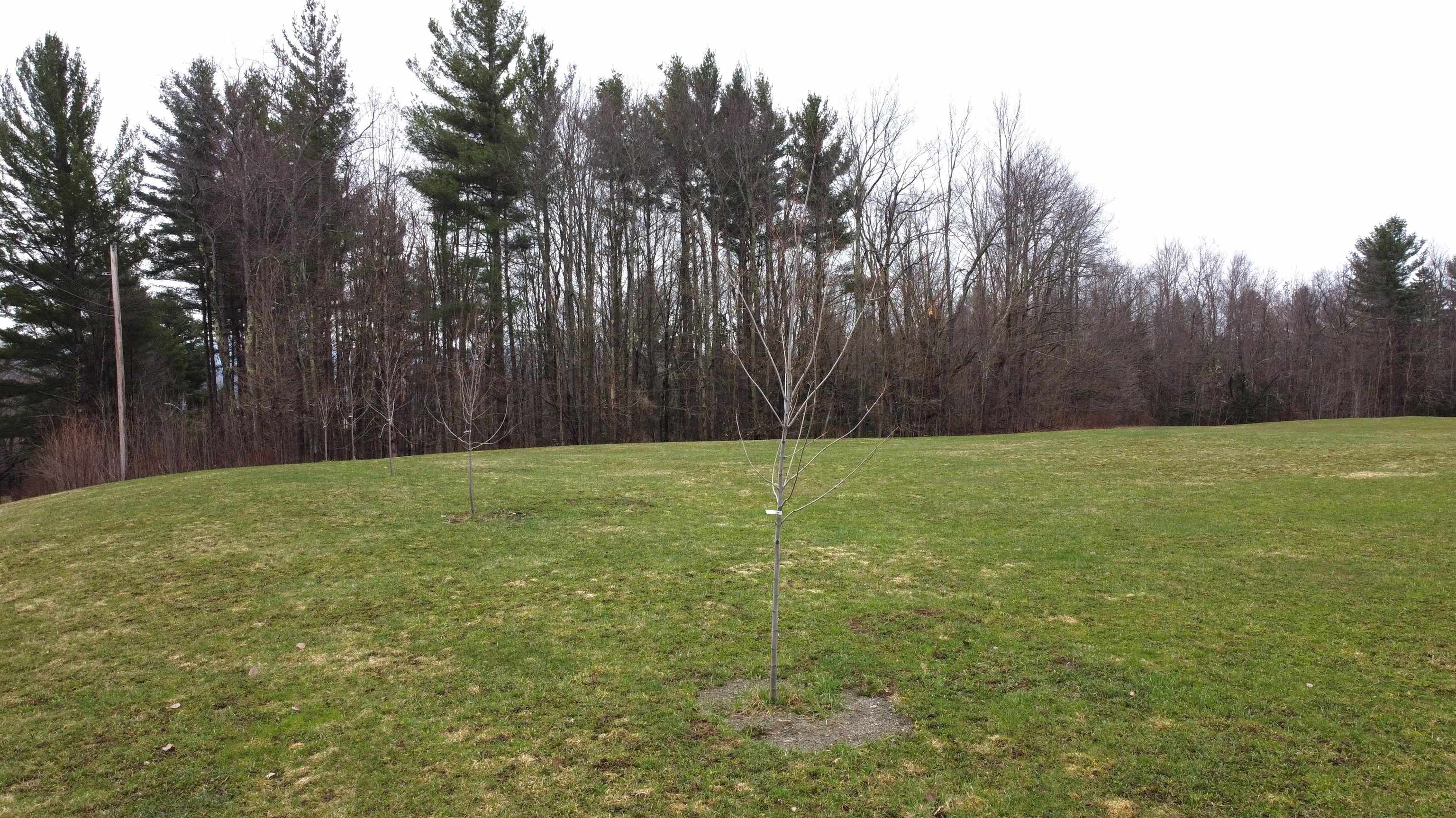 315 North Hill Road Westfield, VT 05874 - Photo 2 of 26