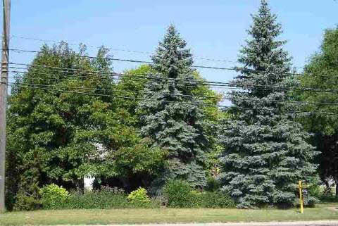 19500 Allen Road Trenton, MI 48183 - Photo 3 of 5 906799-2.JPG