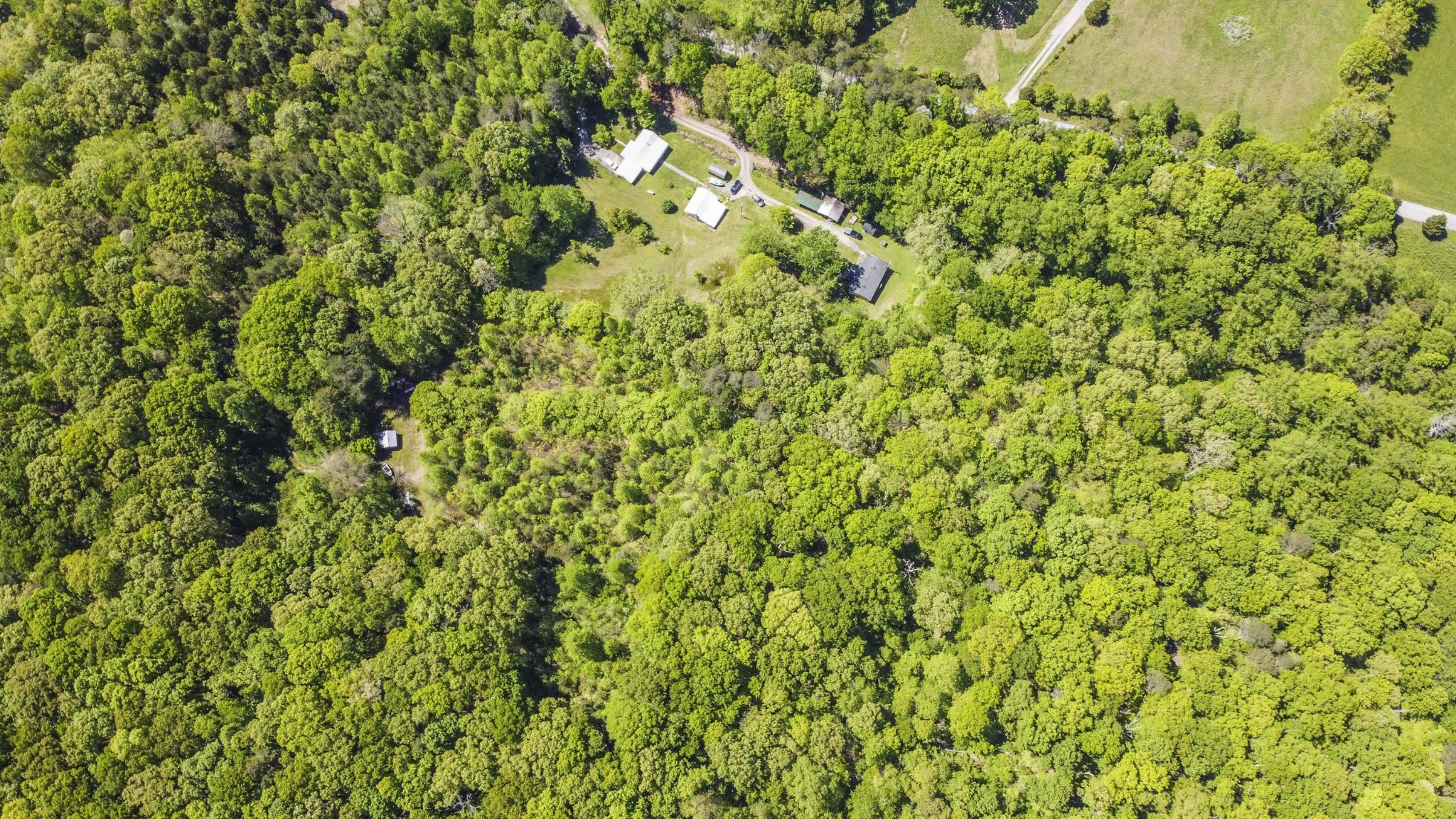 311 Howard Road Loudon, TN 37774 - Photo 28 of 31 Gallery Image 28