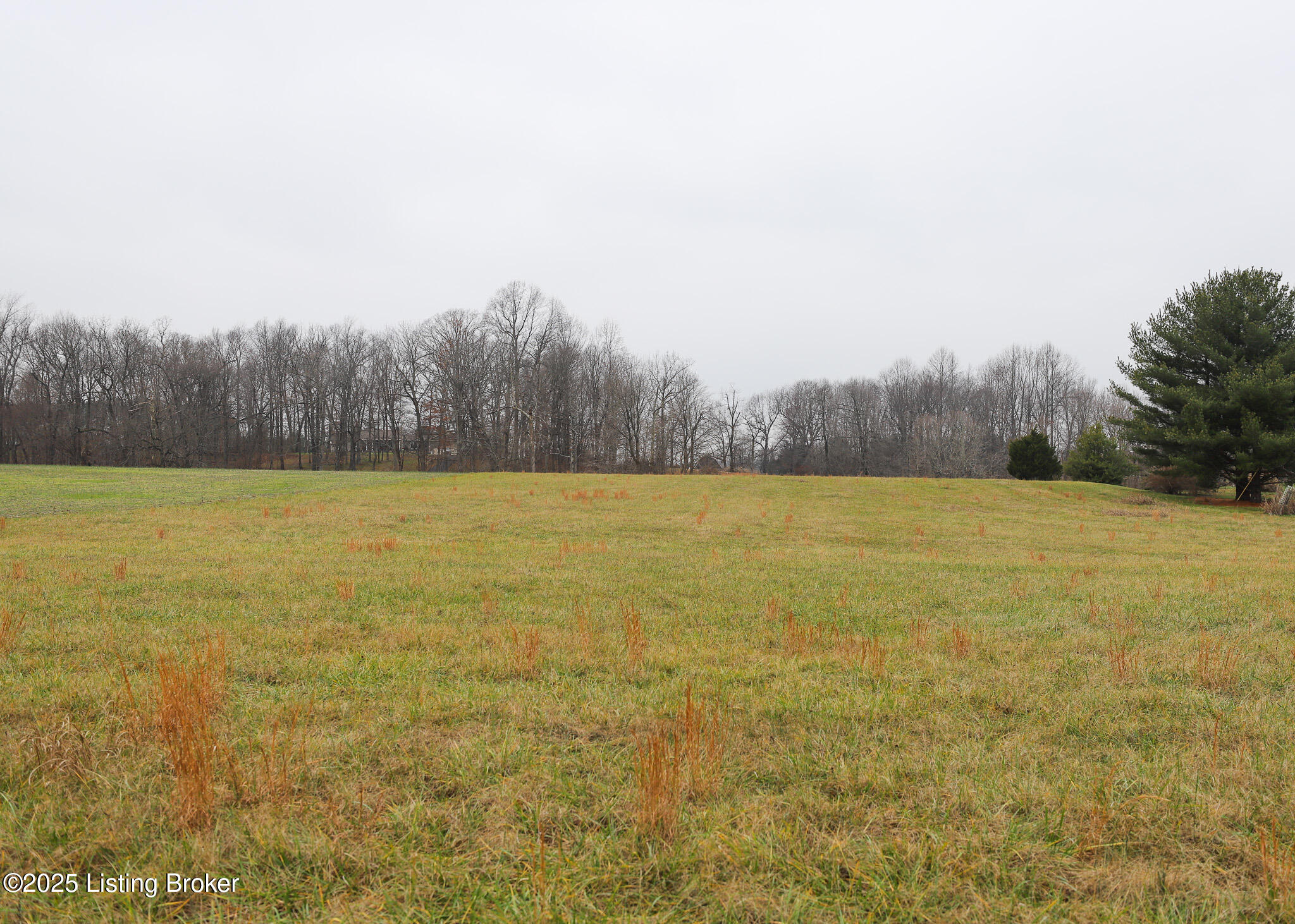 Lot 1 Mudsplash Road Elizabethtown, KY 42701 - Photo 1 of 9 Main