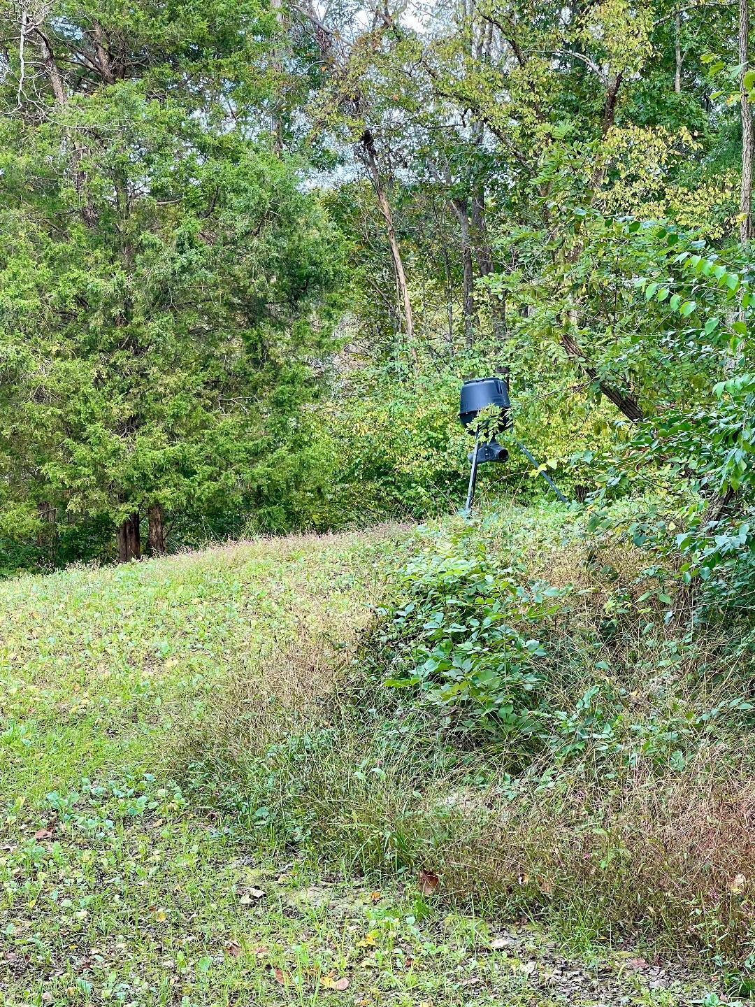 264 Richie Road Carlisle, KY 40311 - Photo 68 of 73 r 11