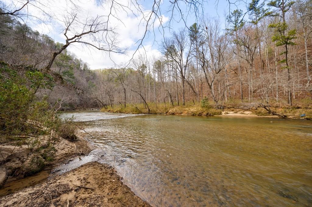 0 Sequoyah Club Ranger, GA 30734 - Photo 11 of 64