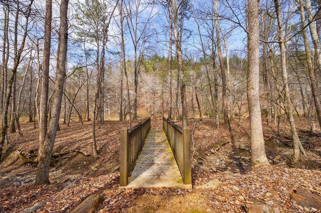 0 Sequoyah Club Ranger, GA 30734 - Photo 13 of 64