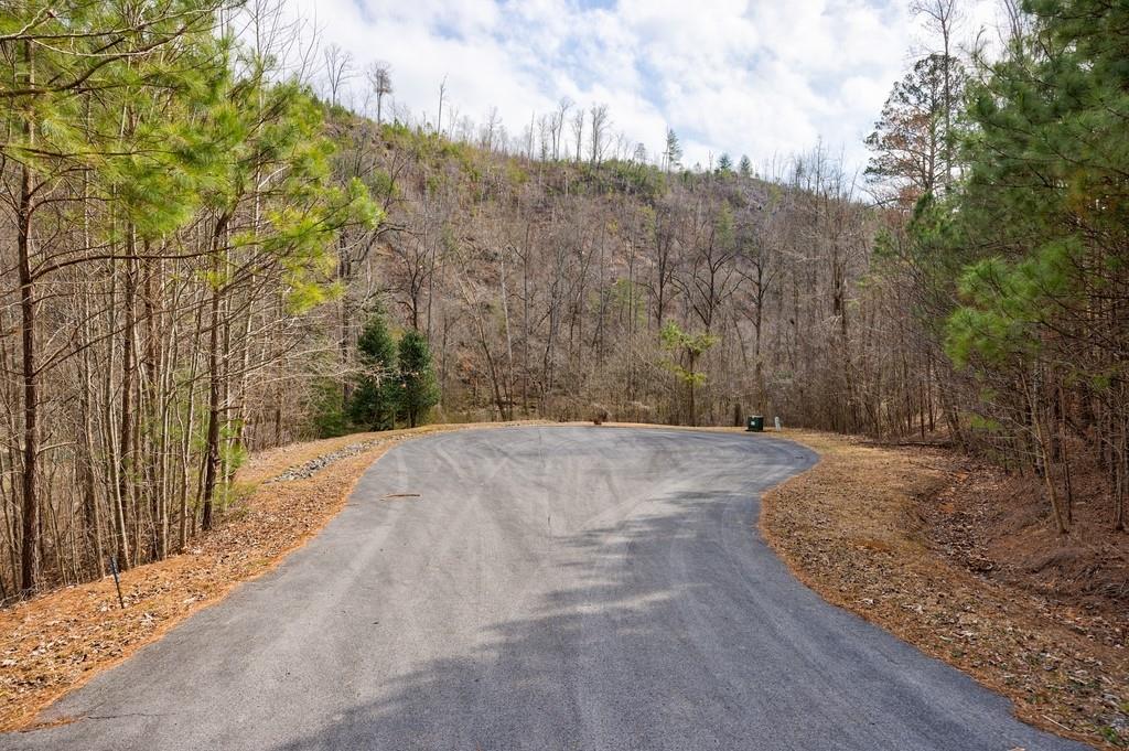 0 Sequoyah Club Ranger, GA 30734 - Photo 14 of 64