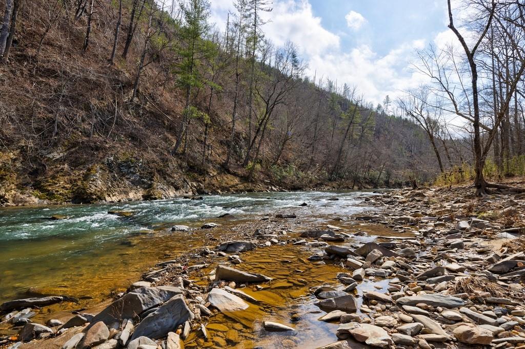 0 Sequoyah Club Ranger, GA 30734 - Photo 19 of 64