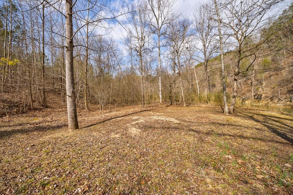 0 Sequoyah Club Ranger, GA 30734 - Photo 21 of 64