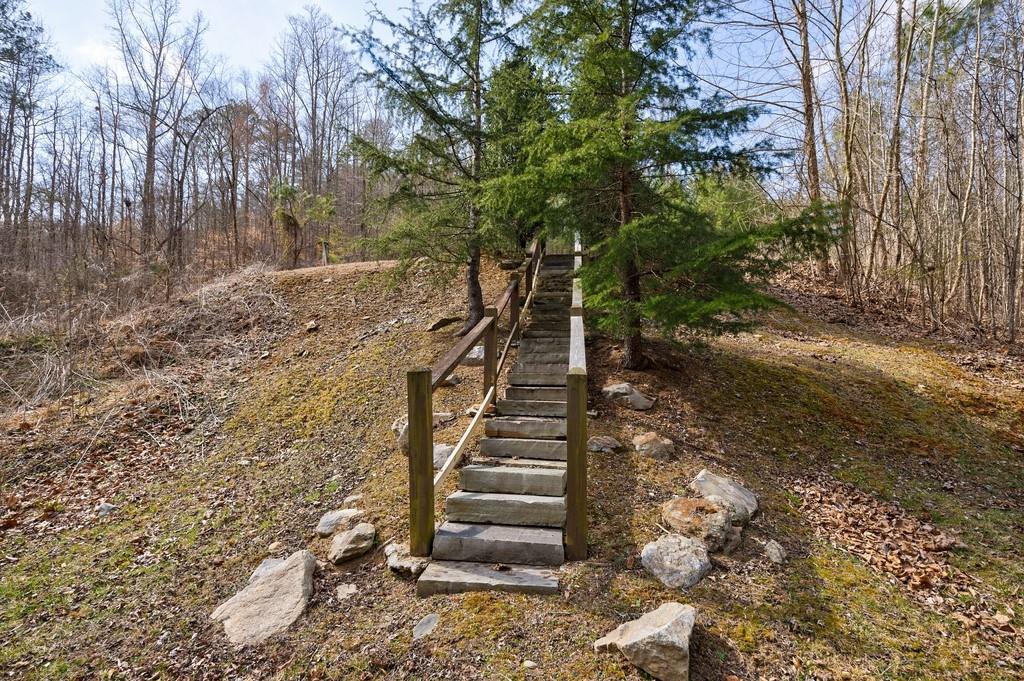 0 Sequoyah Club Ranger, GA 30734 - Photo 22 of 64