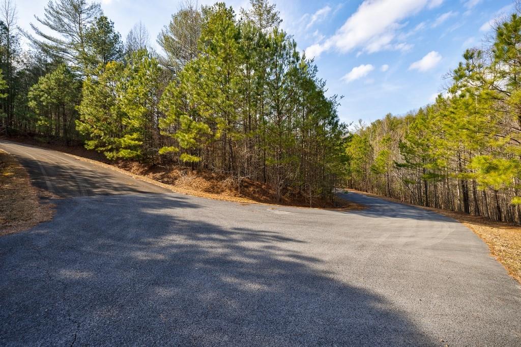 0 Sequoyah Club Ranger, GA 30734 - Photo 23 of 64