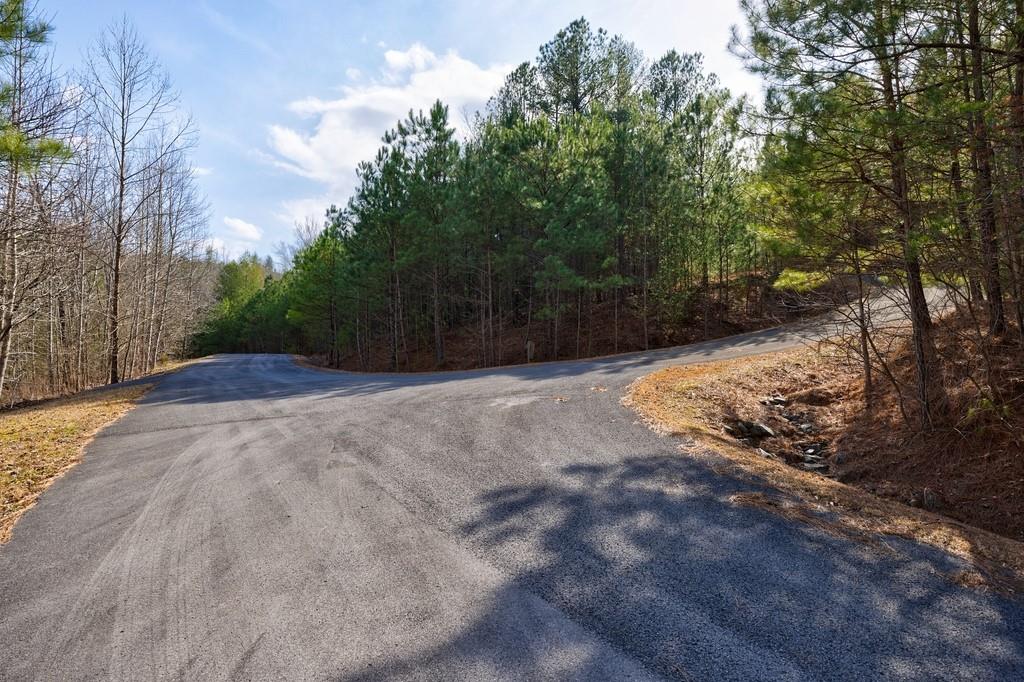 0 Sequoyah Club Ranger, GA 30734 - Photo 24 of 64