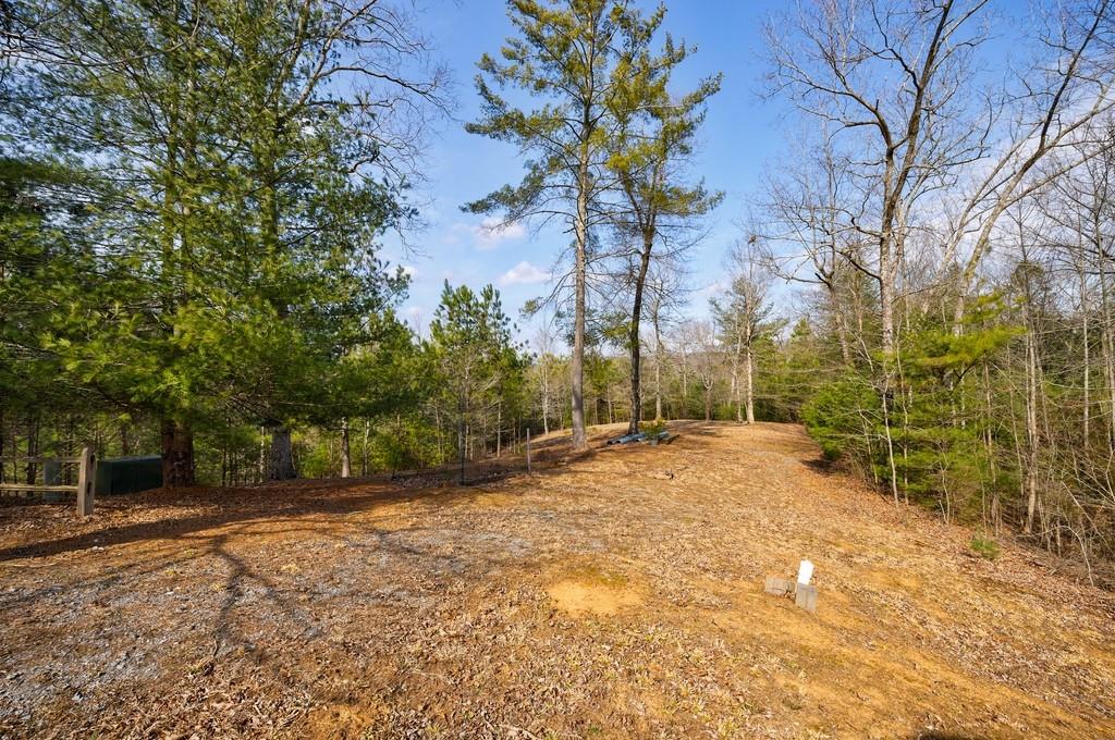 0 Sequoyah Club Ranger, GA 30734 - Photo 28 of 64