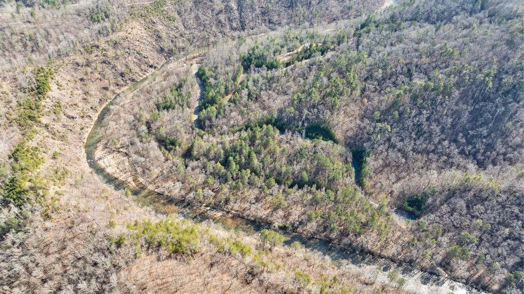 0 Sequoyah Club Ranger, GA 30734 - Photo 33 of 64