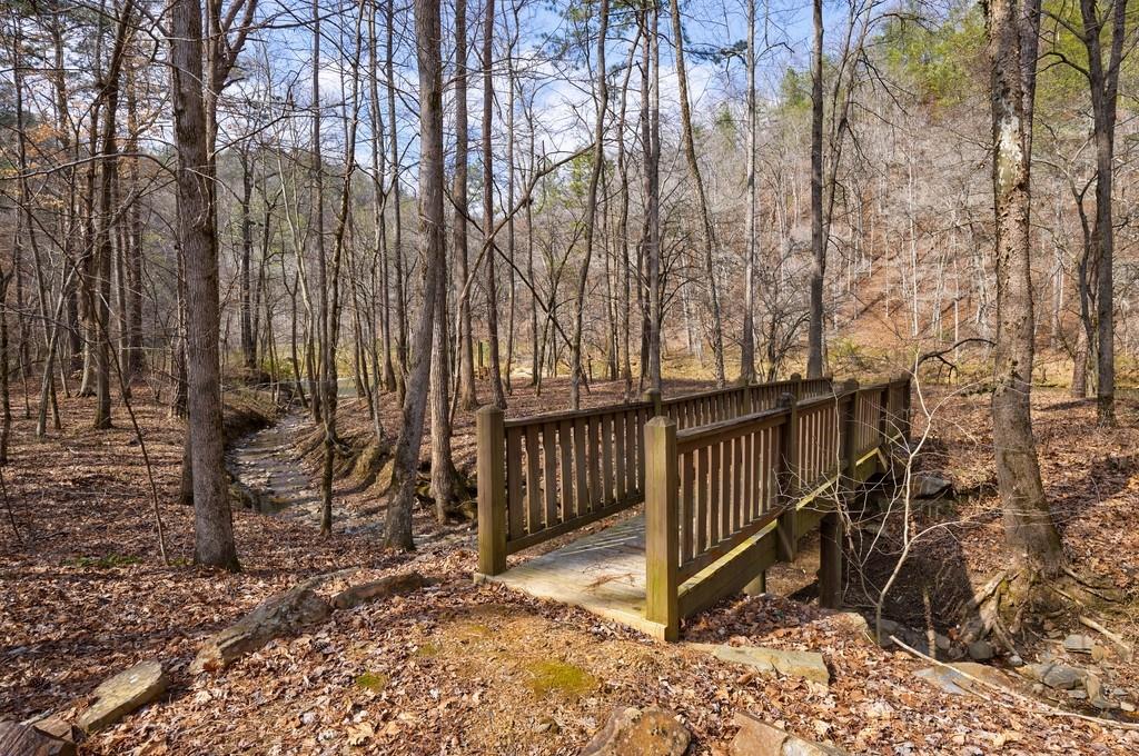 0 Sequoyah Club Ranger, GA 30734 - Photo 4 of 64