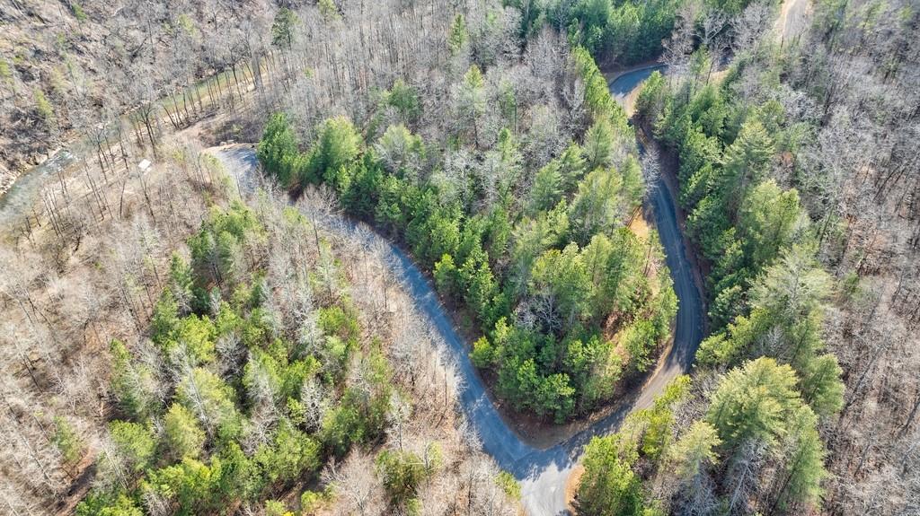 0 Sequoyah Club Ranger, GA 30734 - Photo 43 of 64